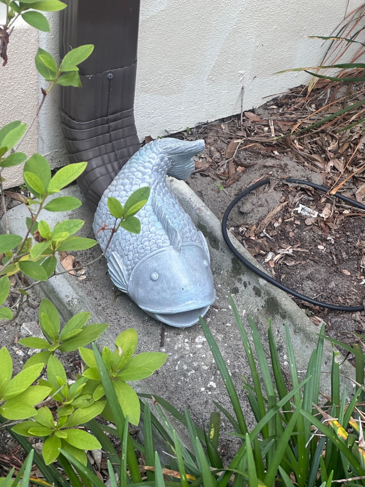 Adding a touch of whimsy to our house with our new gutter fish. This one’s name is Phoneas   

Home decor | whimsical home | porch decor 

#LTKHome #LTKdayinmylife #LTKSeasonal