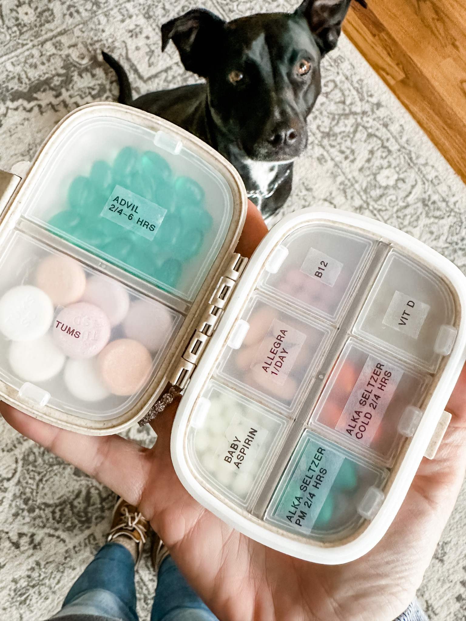 Travel pill case

#LTKhome #LTKGiftGuide #LTKtravel