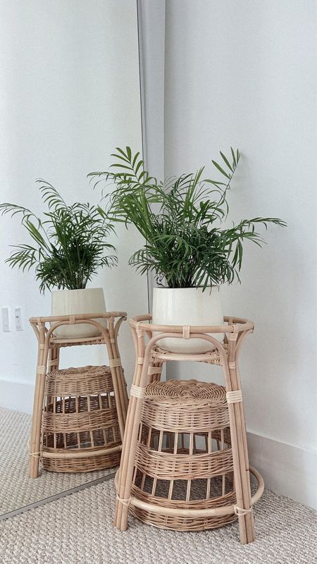 obsessed with this bamboo plant stand from IKEA. fits my medium sized palm plant from easy plant so perfectly! 🤩


#LTKhome