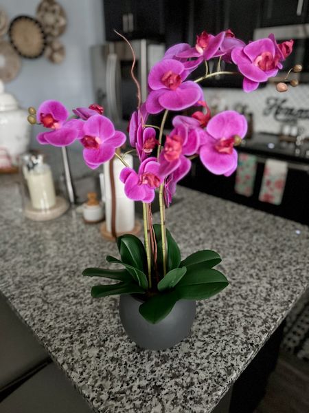 Faux orchid that looks and feels real, the color is stunning and leaves look so realistic. Comes in gray planter and linking other faves as well as my olive tree #cghunter #orchid #fauxplant #fauxflowers #summerdecor #summerflowers #homedecor  

#LTKhome #LTKSeasonal #LTKstyletip