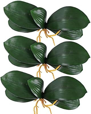 Amazon.com | Amazon (US)