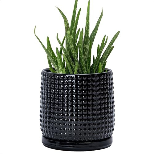 D'vine Dev 6 Inch Ceramic Beaded Stoneware Planter Pot - Flower Pot with Drainage Holes and Saucers for Indoor Succulent Plants or Flowers, Glossy Black, 27-C-X-2 | Amazon (US)