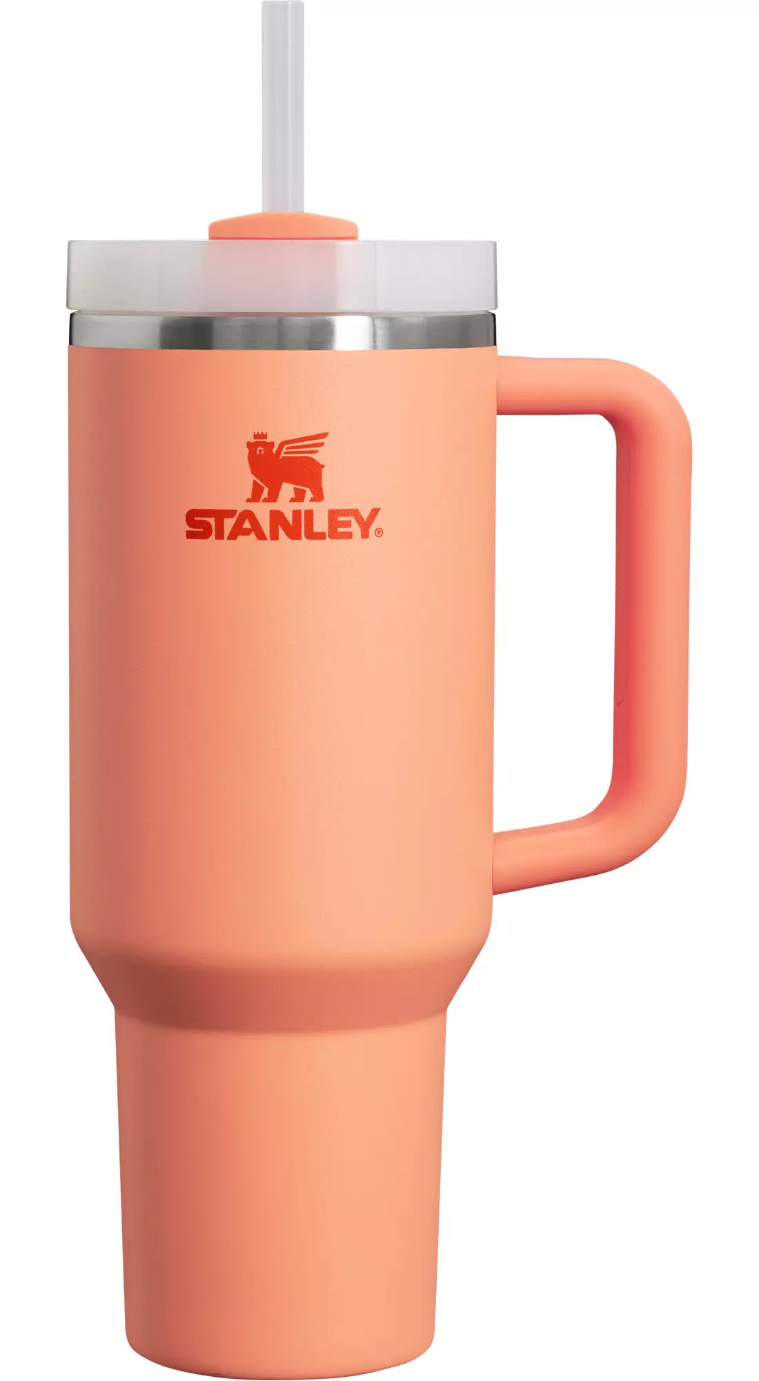 Stanley 40 oz. Quencher H2.0 FlowState Tumbler | Dick's Sporting Goods | Dick's Sporting Goods