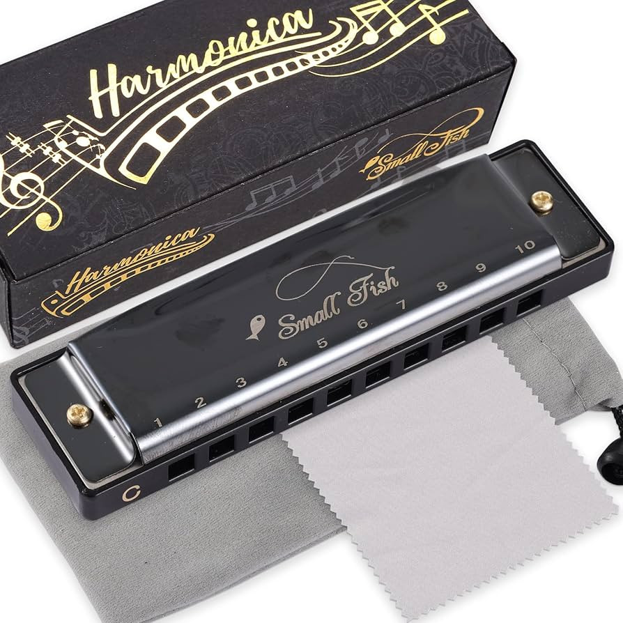 Harmonica for Kids and Adults, Beginners Blues Harmonica Mouth Organ in the Key of C, 10 Holes 20... | Amazon (US)