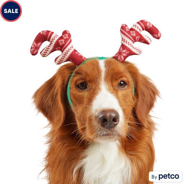 More and Merrier Assorted Value Antlers for Dogs, Small/Medium | Petco