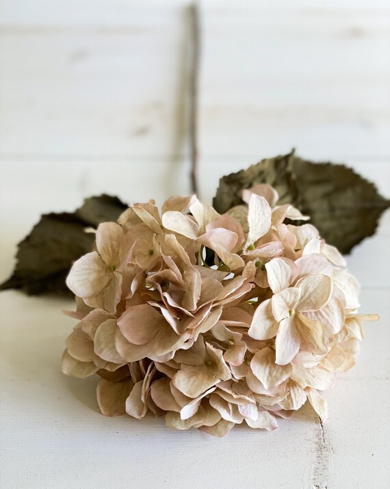 Hydrangea Cream Stem 3pcs  Pink Hydrangea  Cream Hydrangea  - Etsy | Etsy (US)