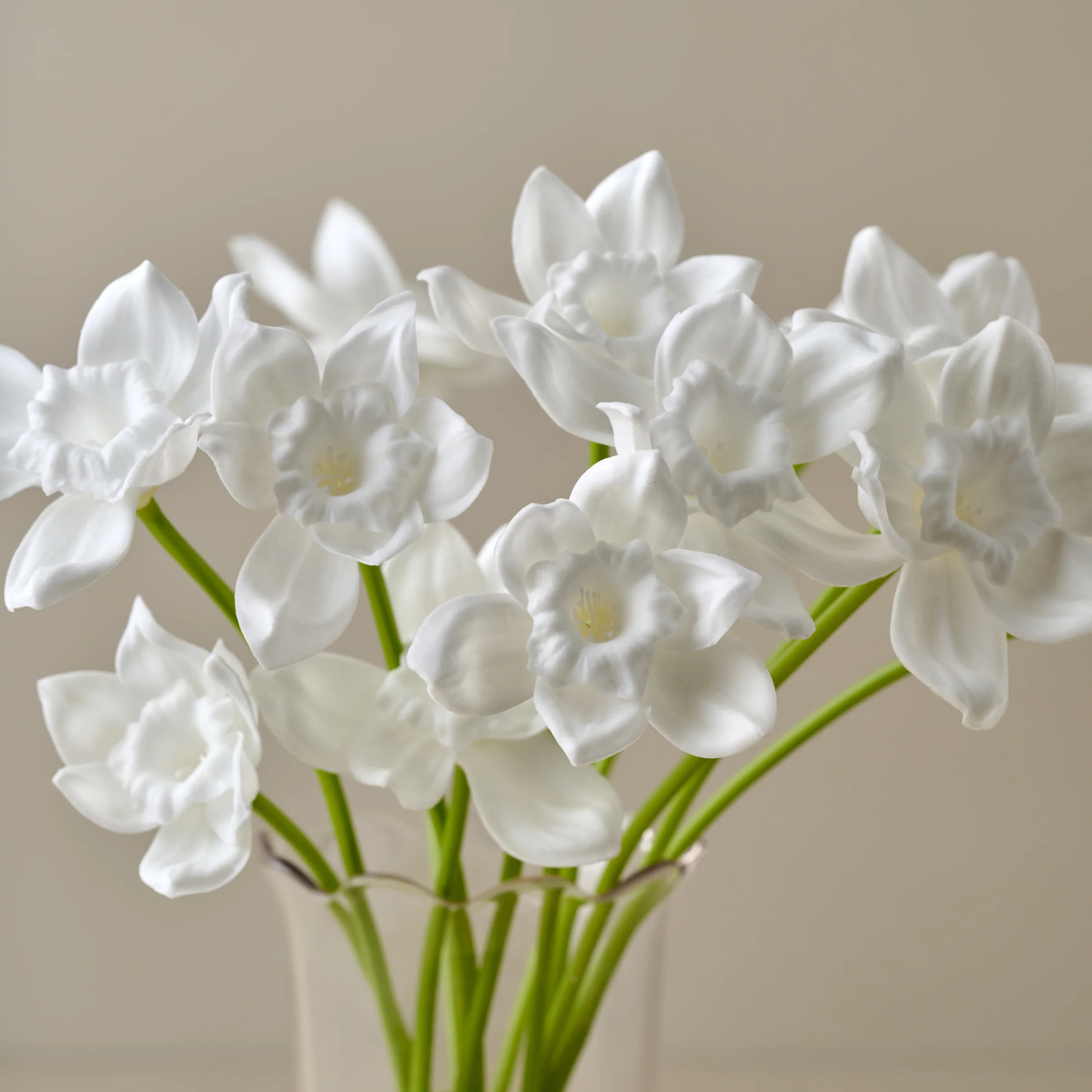 Real Touch Daffodil Bundle | Magnolia