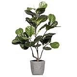 Vintage Home Artificial Faux Fig Tree 40" High Fake Plant Real Touch for Indoor Home and Office Acce | Amazon (US)