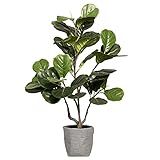Vintage Home Artificial Faux Fig Tree 40" High Fake Plant Real Touch for Indoor Home and Office Acce | Amazon (US)