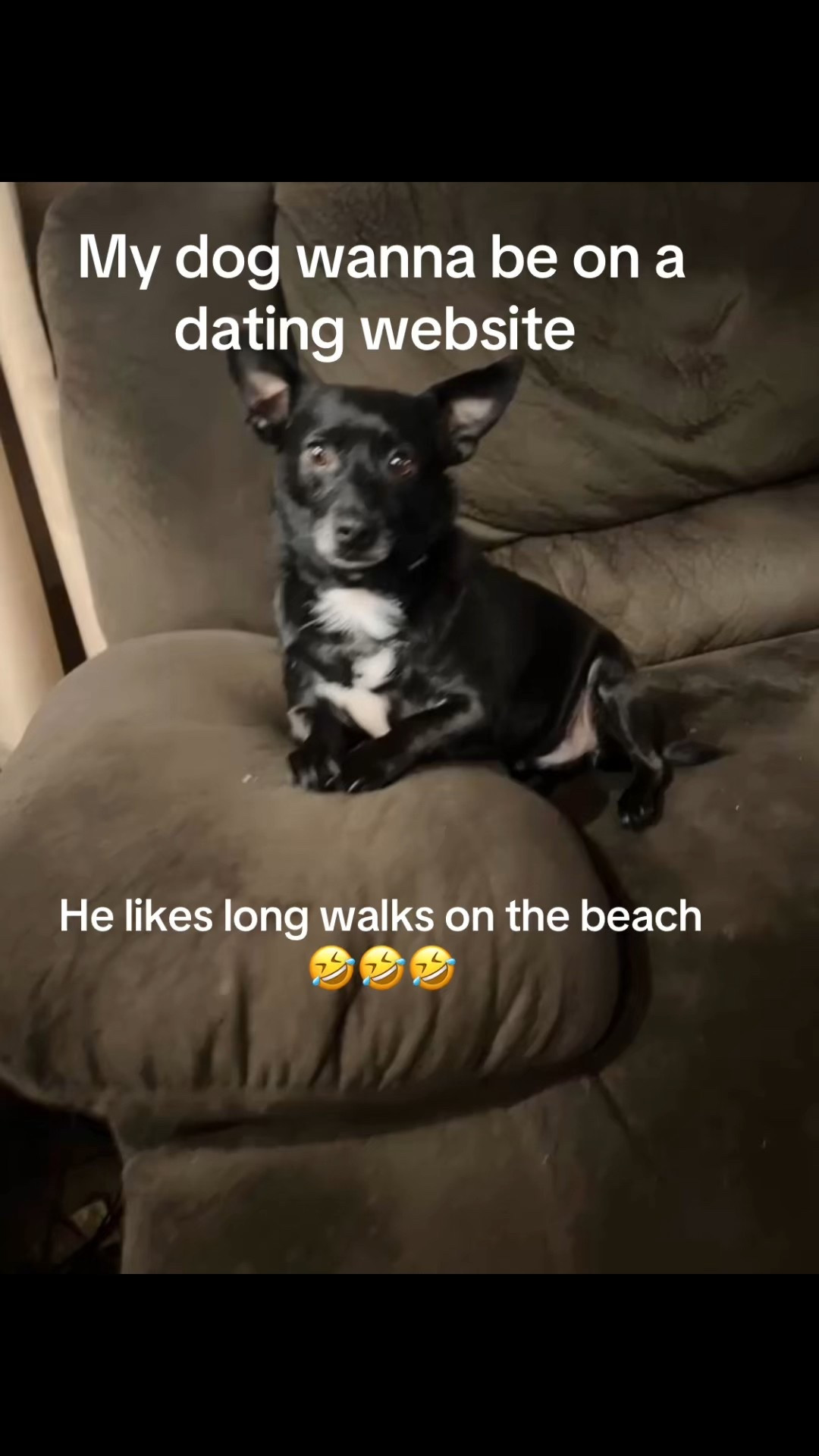 Ever wonder what your dog would say if they were on a dating app?

Dogs are funny.😆 
I knew he was the one for us when we met at the pet adoption event.💕

Max jumped on the couch and posed as if he were taking a photo for a dating app 🤣🤣🤣

His name is Max
He’s a Gemini
He enjoys fine dining with Fresh Pet
He likes long walks on the beach 🤣

Type “Funny” if your dog is hilarious 

Follow for more Max videos
@freshpet


#LTKFamily #LTKPets