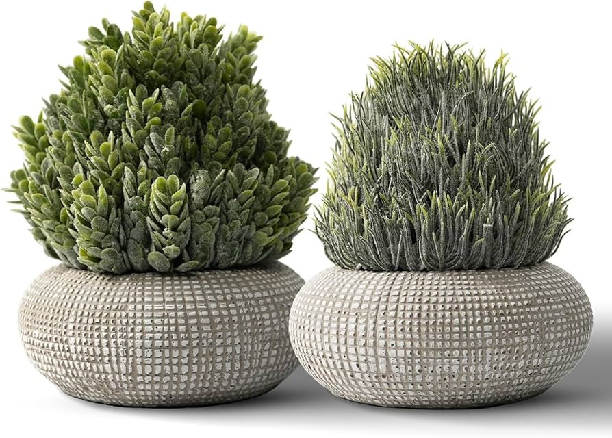 2 Pack Small Fake Plants in Cement Planter for Bathroom Decor, 6.1/5.7 Inch Artificial Plants Ind... | Amazon (US)
