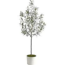 70in. Olive Artificial Tree in White Tin Planter | Amazon (US)