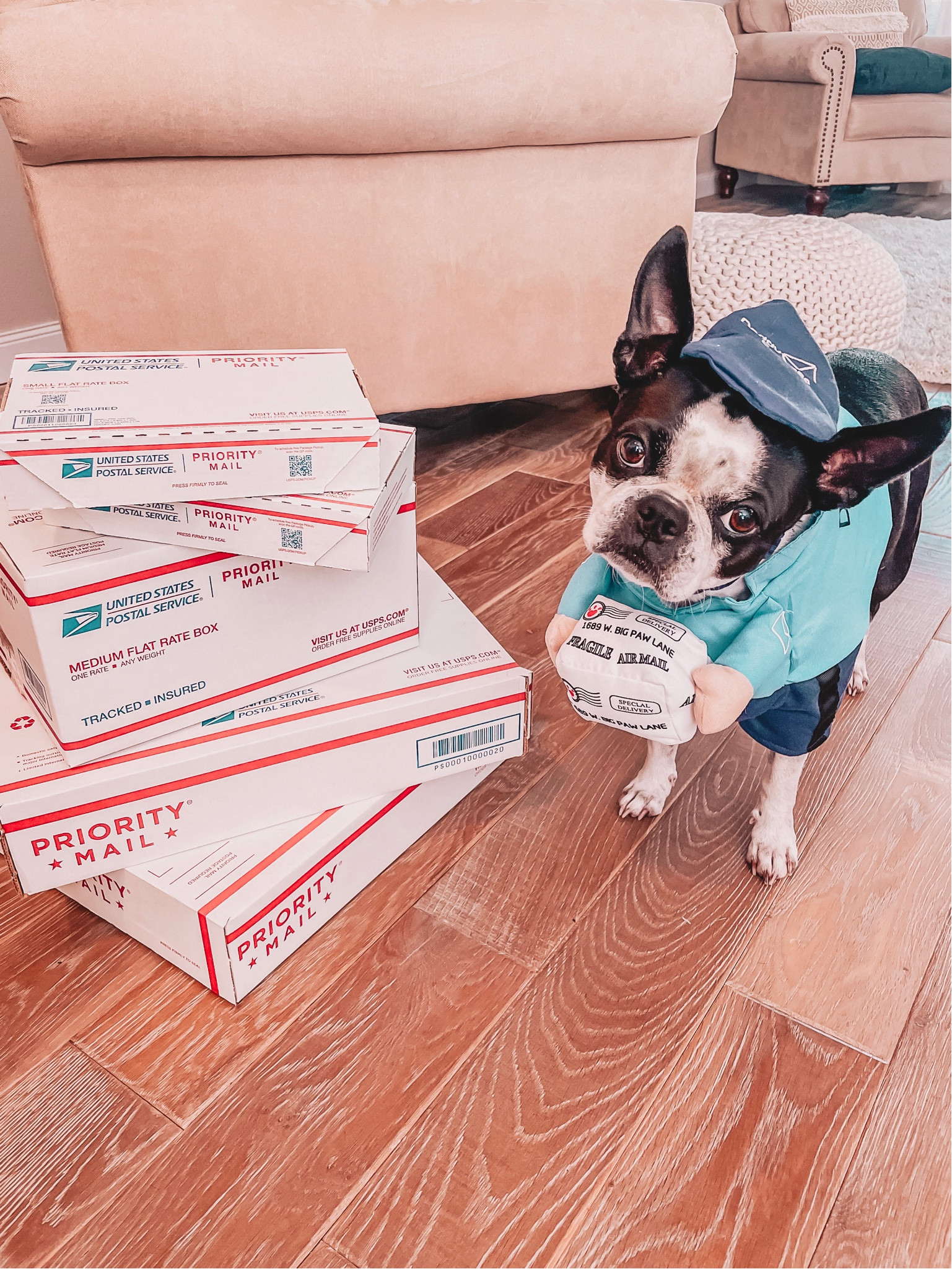 Get ready for Spring! New arrivals & sales to shop! #LTKGiftGuide #LTKSeasonal #LTKFind #LTKhome #LTKU #LTKfit #LTKsalealert #LTKVideo #LTKunder100 #LTKstyletip #LTKunder50 Wedding guest, vacation outfits, rug, home decor, sneakers, jeans, bedroom, maternity outfit, resort wear, nursery #LTKworkwear #LTKshoecrush 