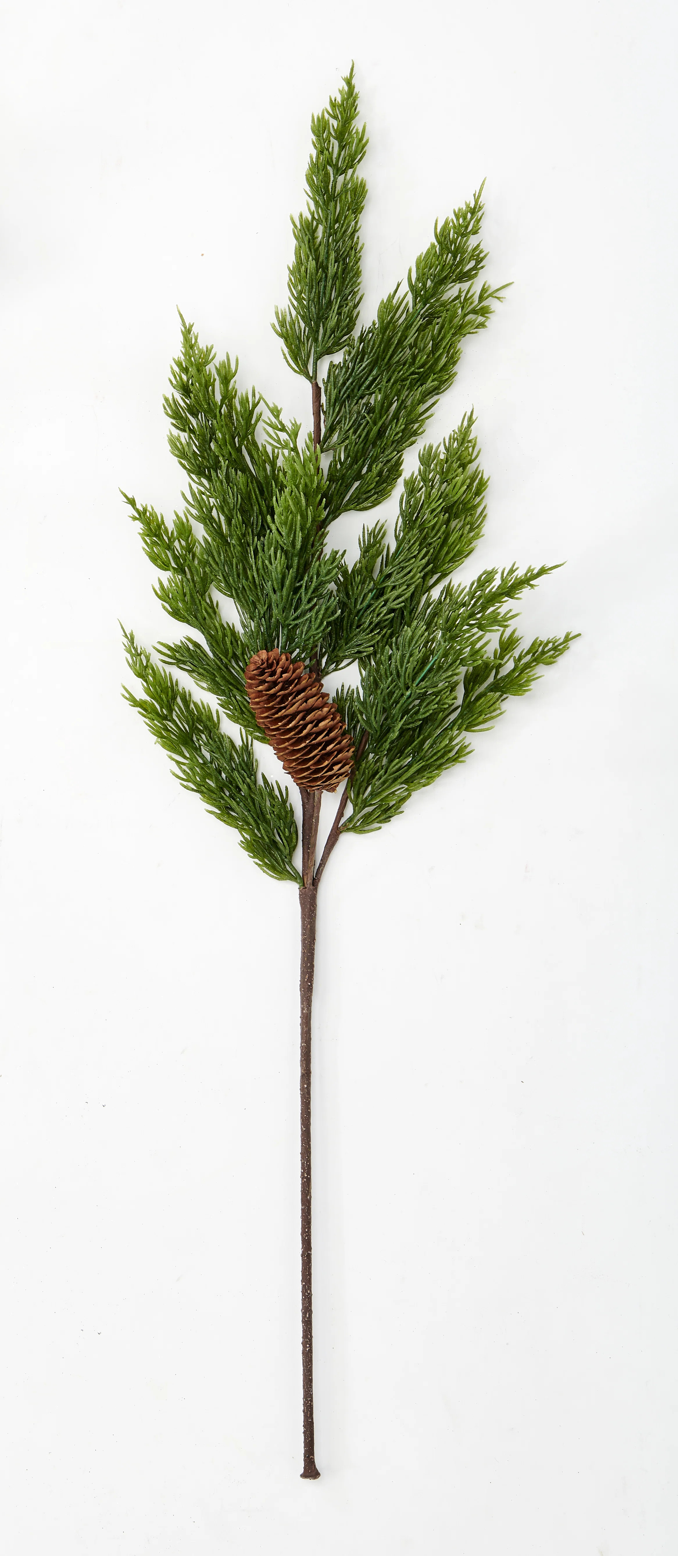 Pine Cone Arrangement (Set of 3) | Wayfair North America