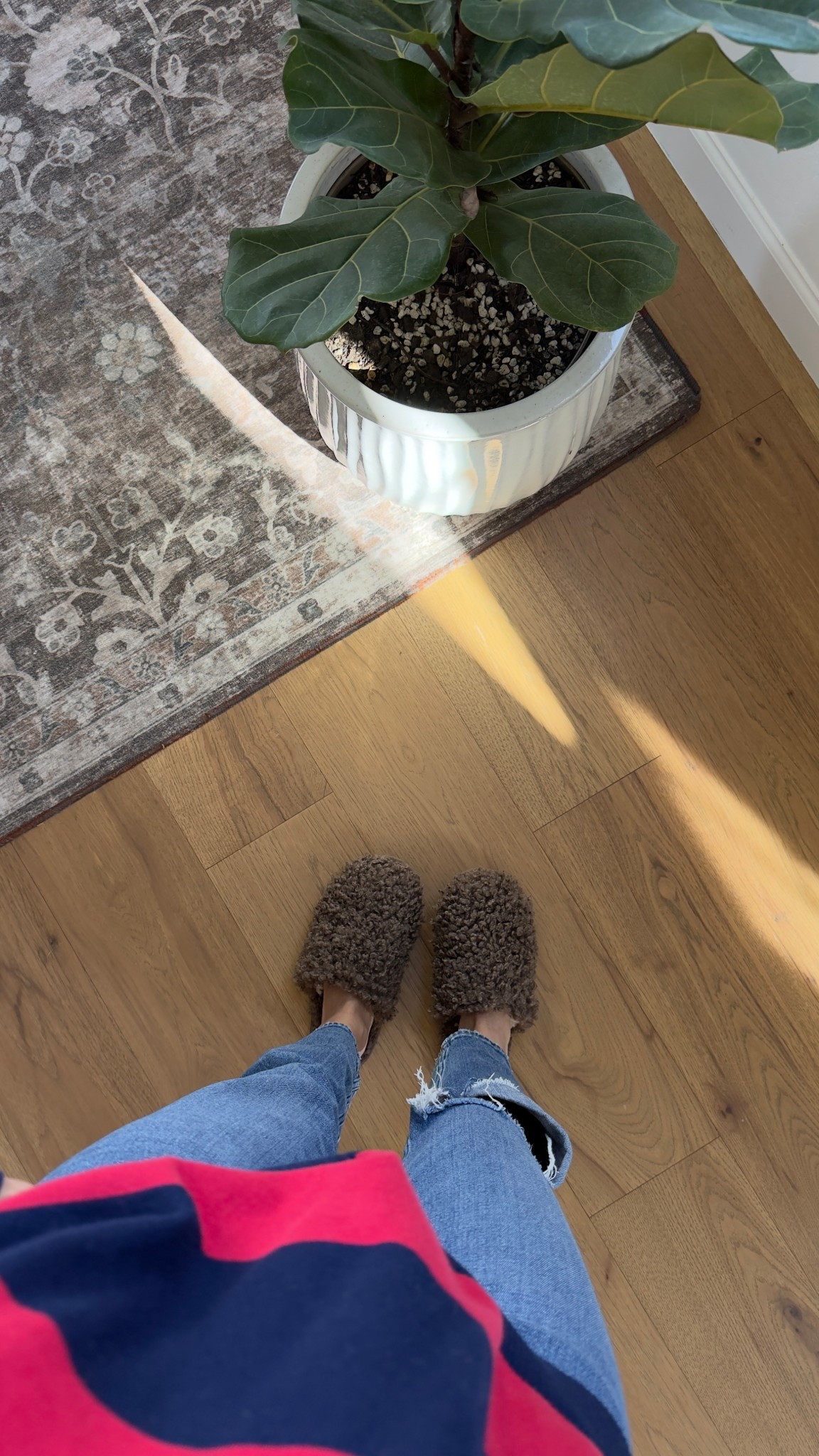 favorite slippers ever ever 

#LTKFindsUnder50 #LTKselfcare #LTKmomlife