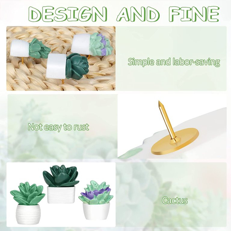 Chainplus 20 Pieces Cute Succulent Plants Decorative Push Pins Colorful Floret Thumbtacks for Pho... | Walmart (US)