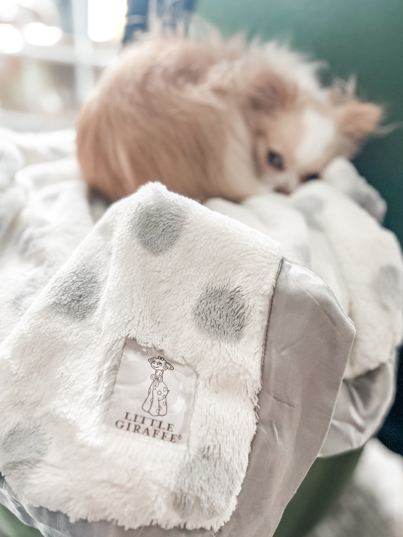 My work from lil partner is always in a blankie & this little giraffe is one of her favs. It’s the softest baby blanket around and a perfect gift for a new baby or puppy. 😉

#LTKHome #LTKGiftGuide #LTKBaby