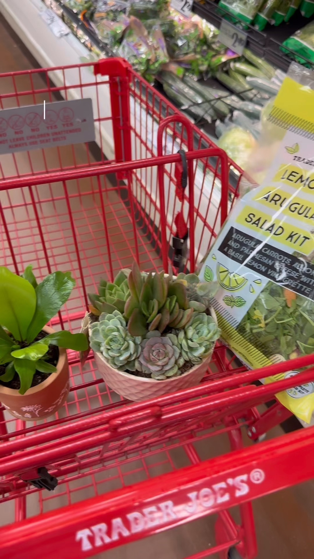 Trader Joe’s Haul OOTD!! 

#LTKmomlife #LTKdayinmylife #LTKootd