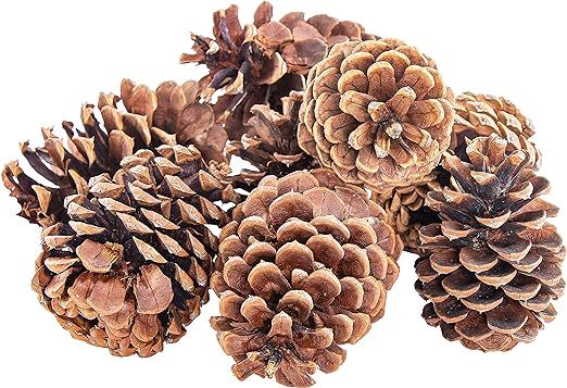 Bloom Room Natural Pine Cones Decorations | Rustic Home Decor for Centerpiece Table Decorations a... | Amazon (US)