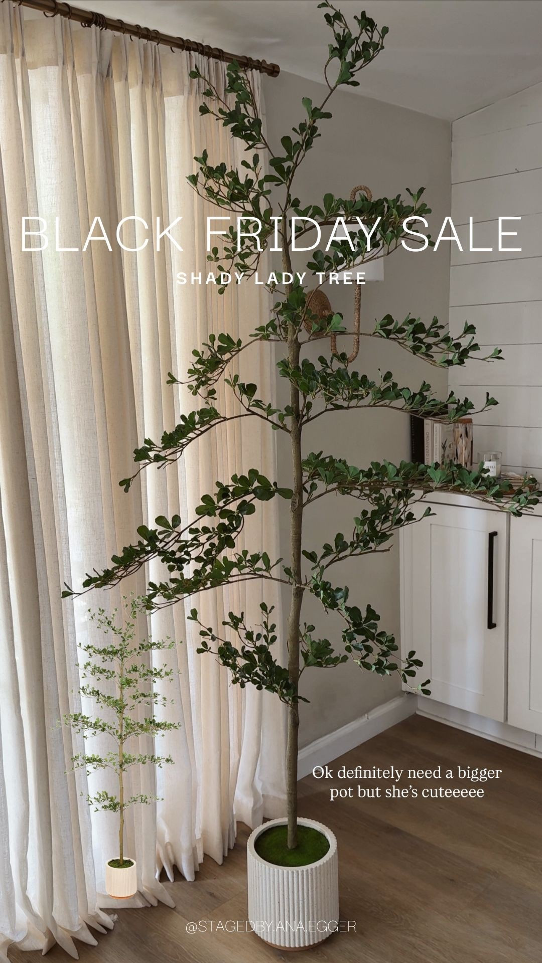 The best trees for decor!

#LTKSaleAlert #LTKHome #LTKCyberWeek