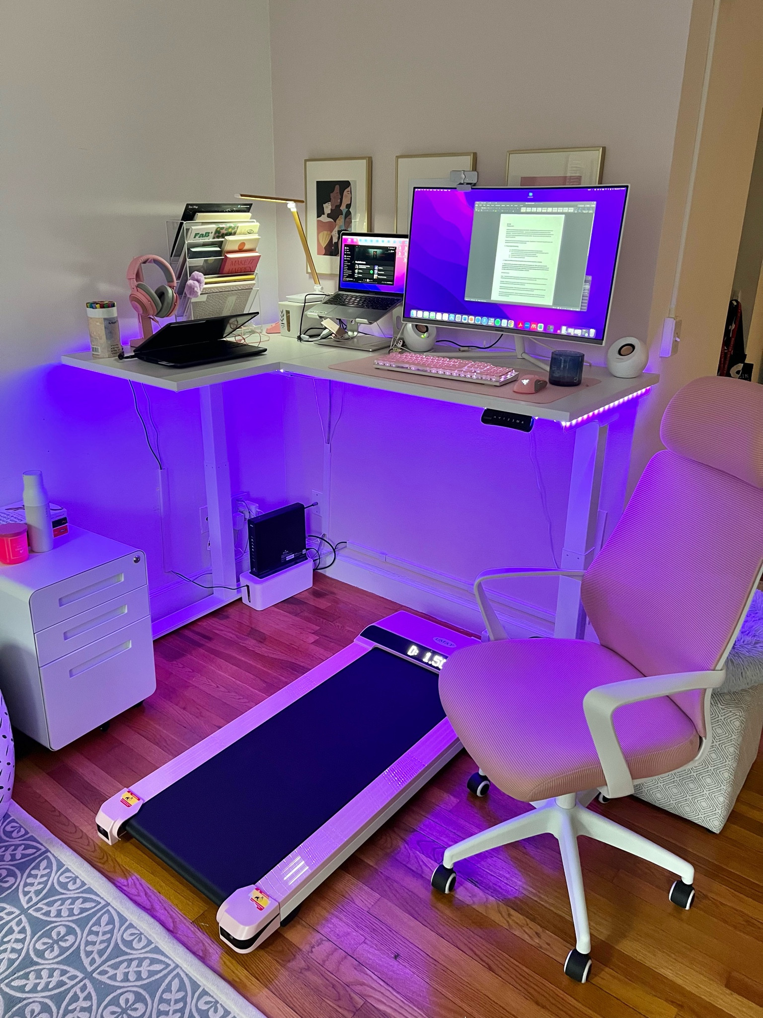 New desk setup with standing desk and walking pad. 