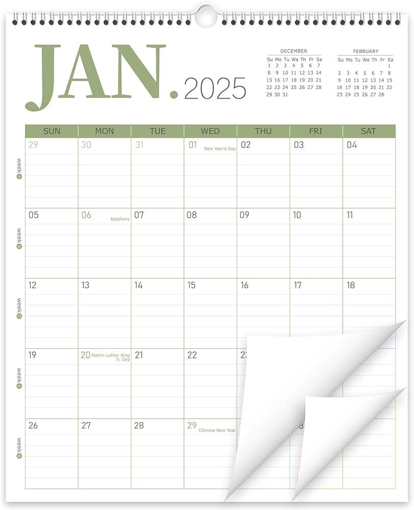 Guasslee 2025 Wall Calendar, Vertical Calendar Wall 2025, Jan. 2025-Jun. 2026, 14" X 11.5" 18-Mon... | Amazon (US)