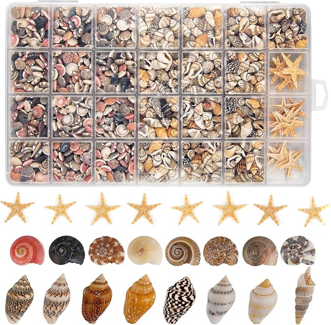 1200 PCS Tiny Seashells& 21 Starfish Mixed Bulk Beach Small Shells for Home Decor, Beach Theme Pa... | Amazon (US)