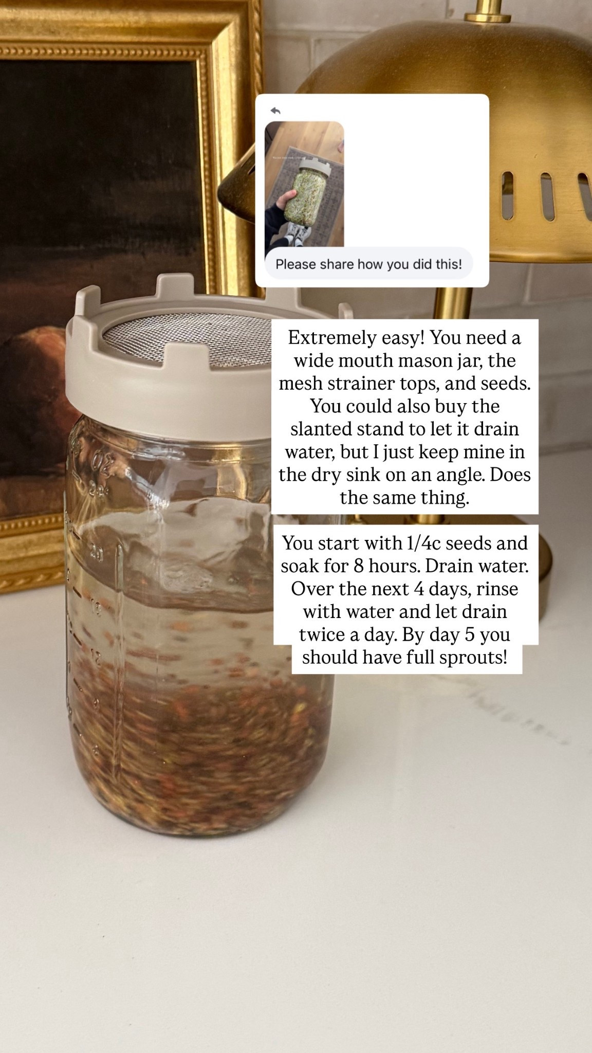 Jar sprouts! So nutritious and beneficial. You need literally a spoonful of sprouts to equal the benefits of multiple cups of broccoli 🥦 

#LTKHome #LTKfoodie #LTKselfcare