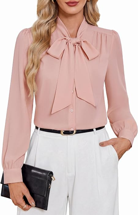 Belle Poque Women Dressy Casual Button Down Long Sleeves Blouse | Amazon (US)