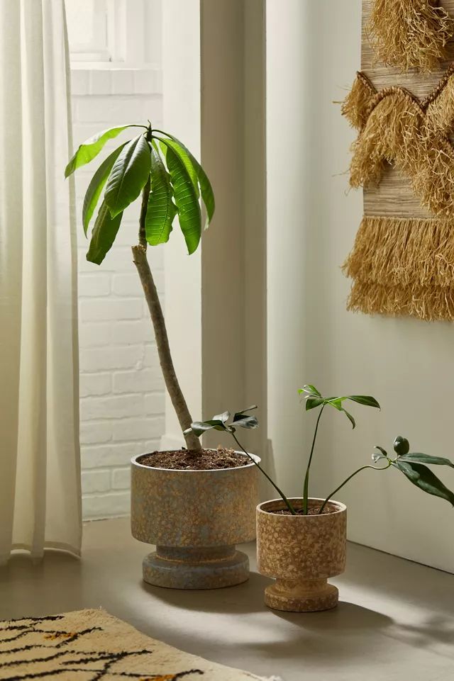 Lila Planter | Urban Outfitters (US and RoW)