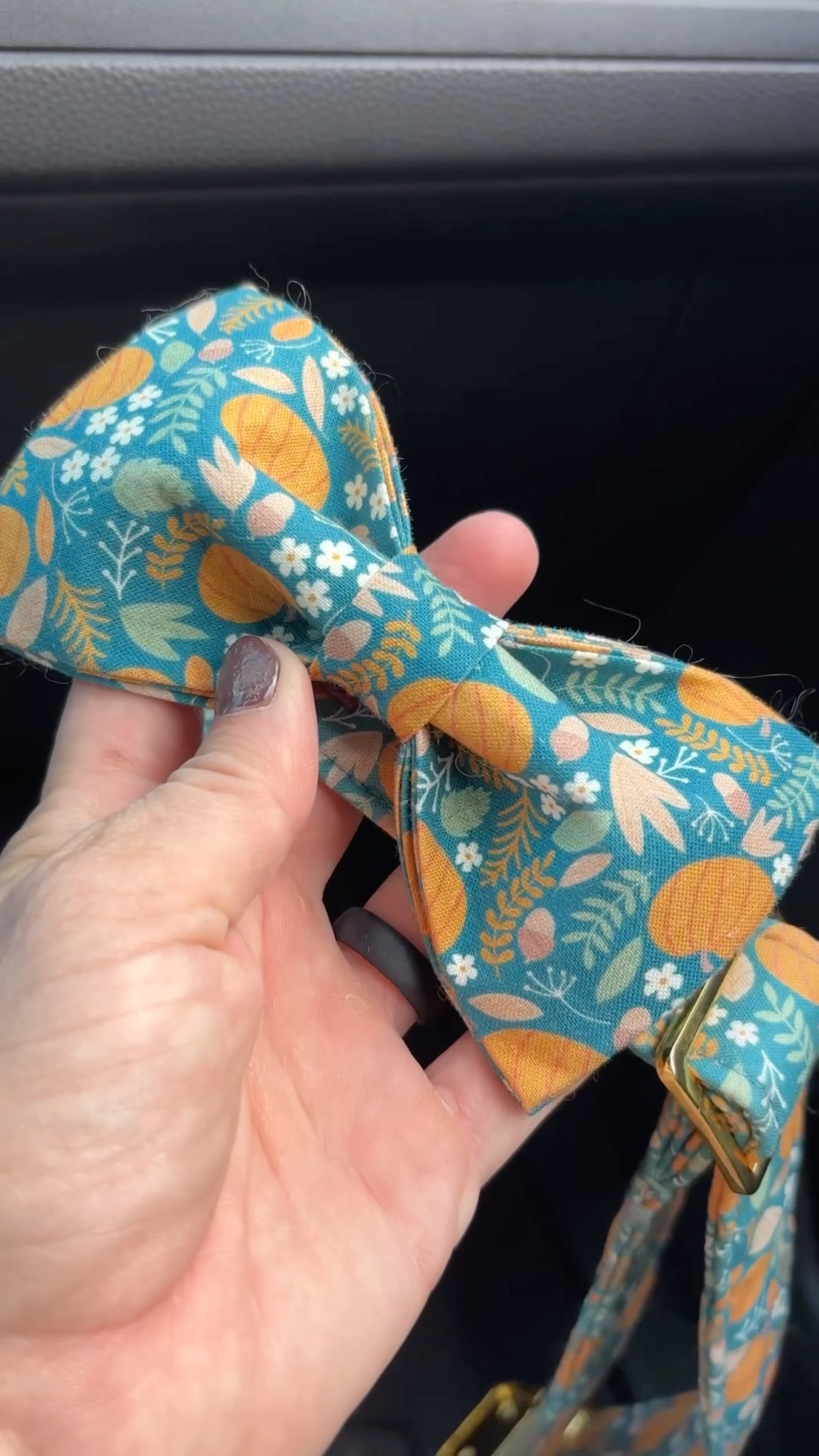 Murph stays in fashion with his seasonal bowtie collars found on Amazon.

#LTKPetite #LTKPets #LTKActive