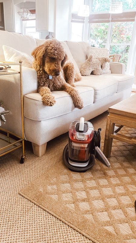 Whether it’s dog paws, little one paws or normal wear this portable upholstery and carpet cleaner packs a big bang for the buck!  My secret weapon for keeping the white and light furniture looking clean, fresh and crisp!

#LTKhome #LTKsalealert #LTKfindsunder100