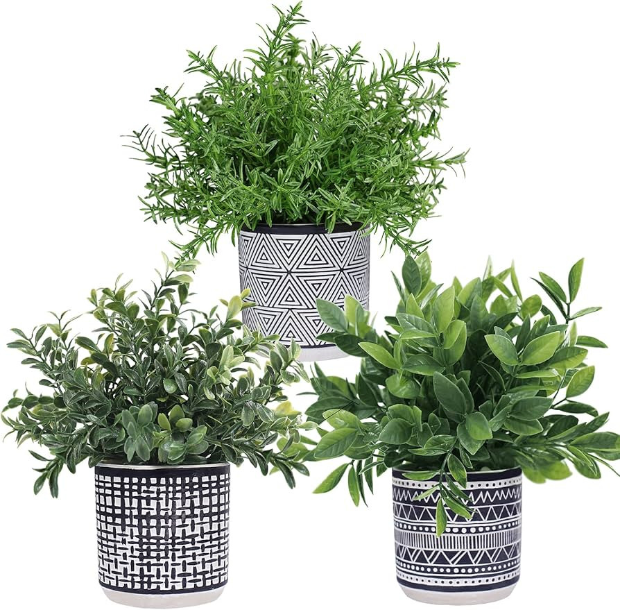 Winlyn Set of 3 Small Potted Plants Artificial Eucalyptus Rosemary Boxwood Plants in Black and Wh... | Amazon (US)