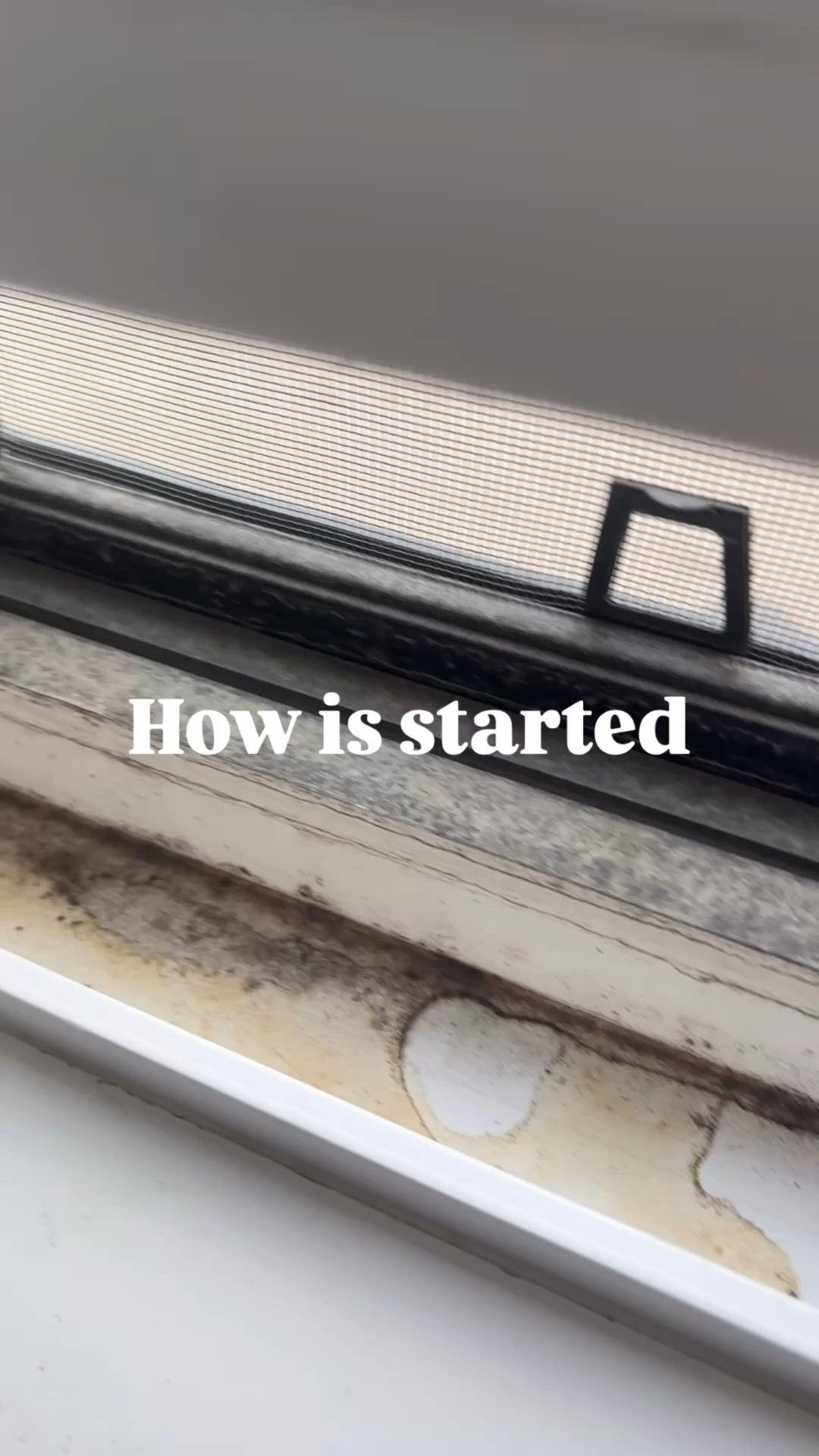 #LTKcanada #LTKhome #LTKgiftguide