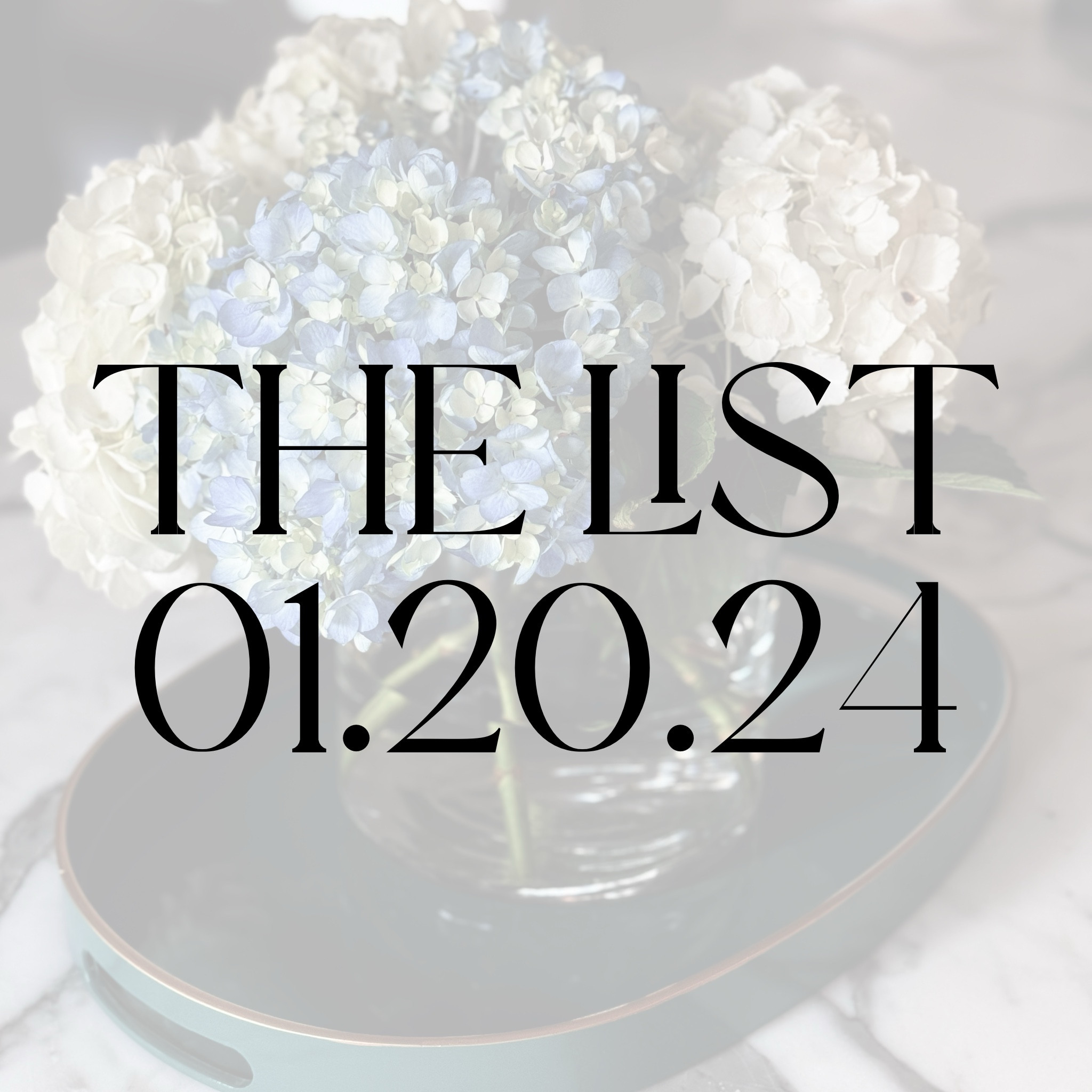 A list of the products I shared on Instagram from January 13-19.

#LTKstyletip #LTKfindsunder100 #LTKfindsunder50