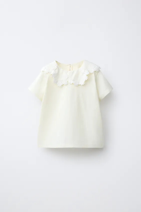 DAISY PETER PAN COLLAR T-SHIRT | Zara US