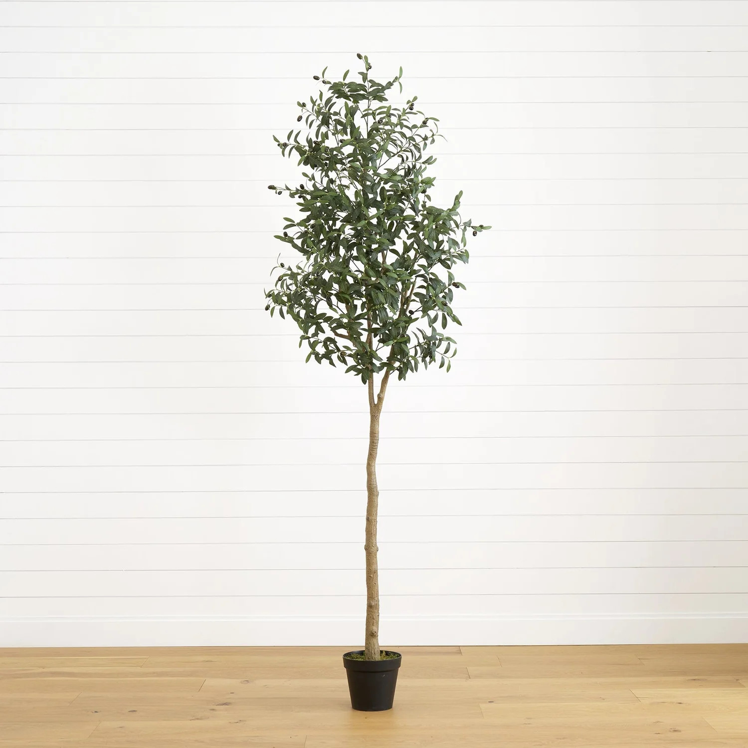 8’ Artificial Olive Tree | Nearly Natural | Nearly Natural