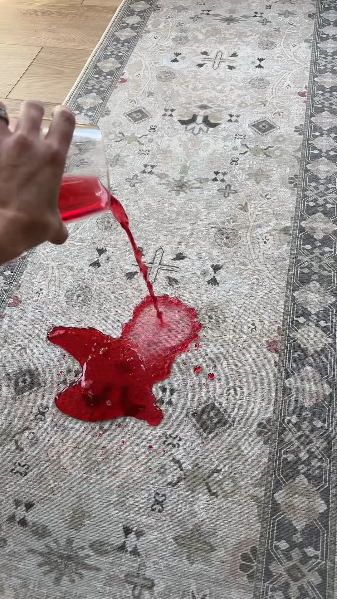 The most magical rug I ever did see!!! Nothing stains it! 

#LTKHoliday #LTKHome #LTKCyberWeek