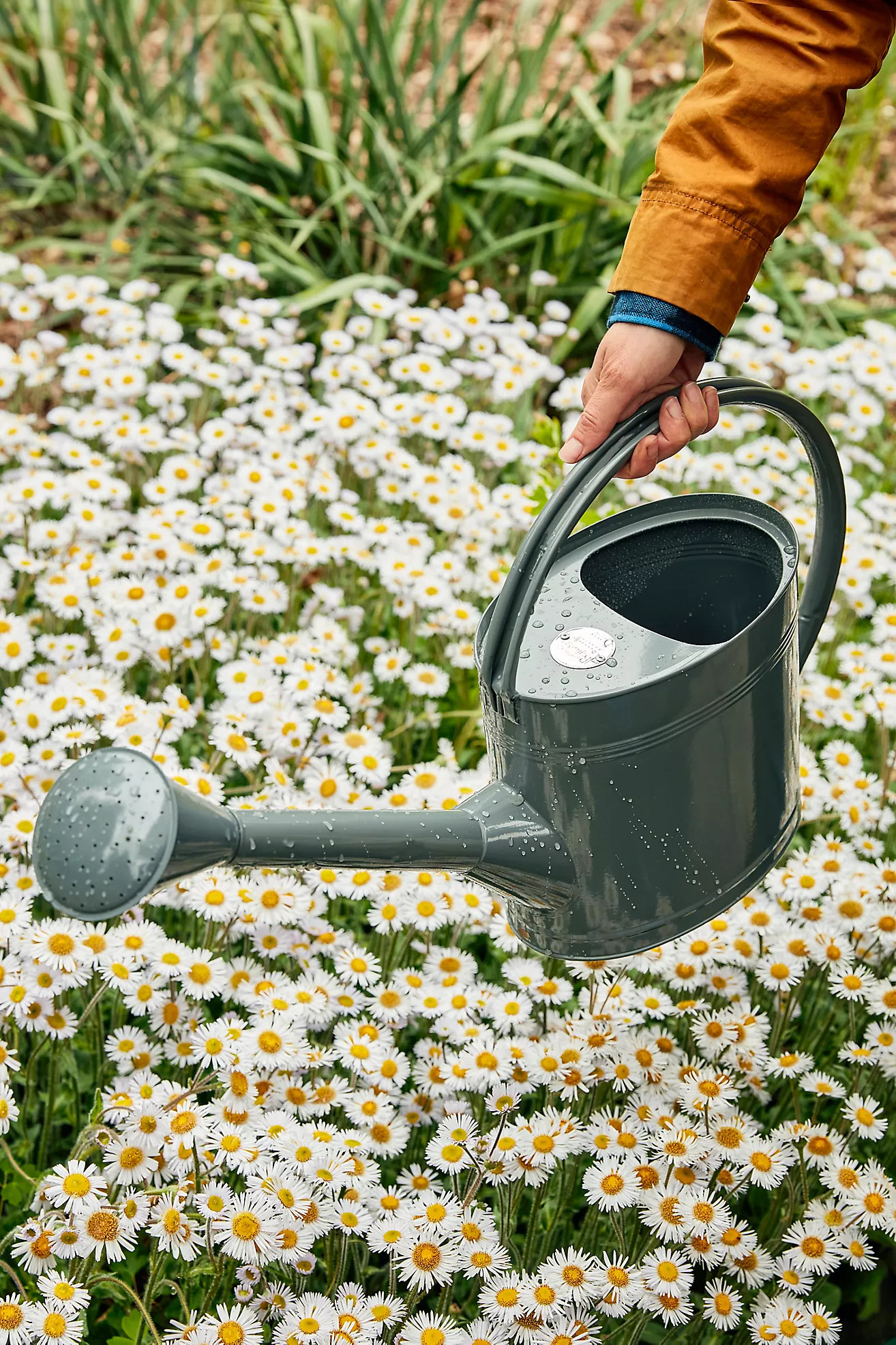 Galvanized Steel Watering Can | Anthropologie (US)