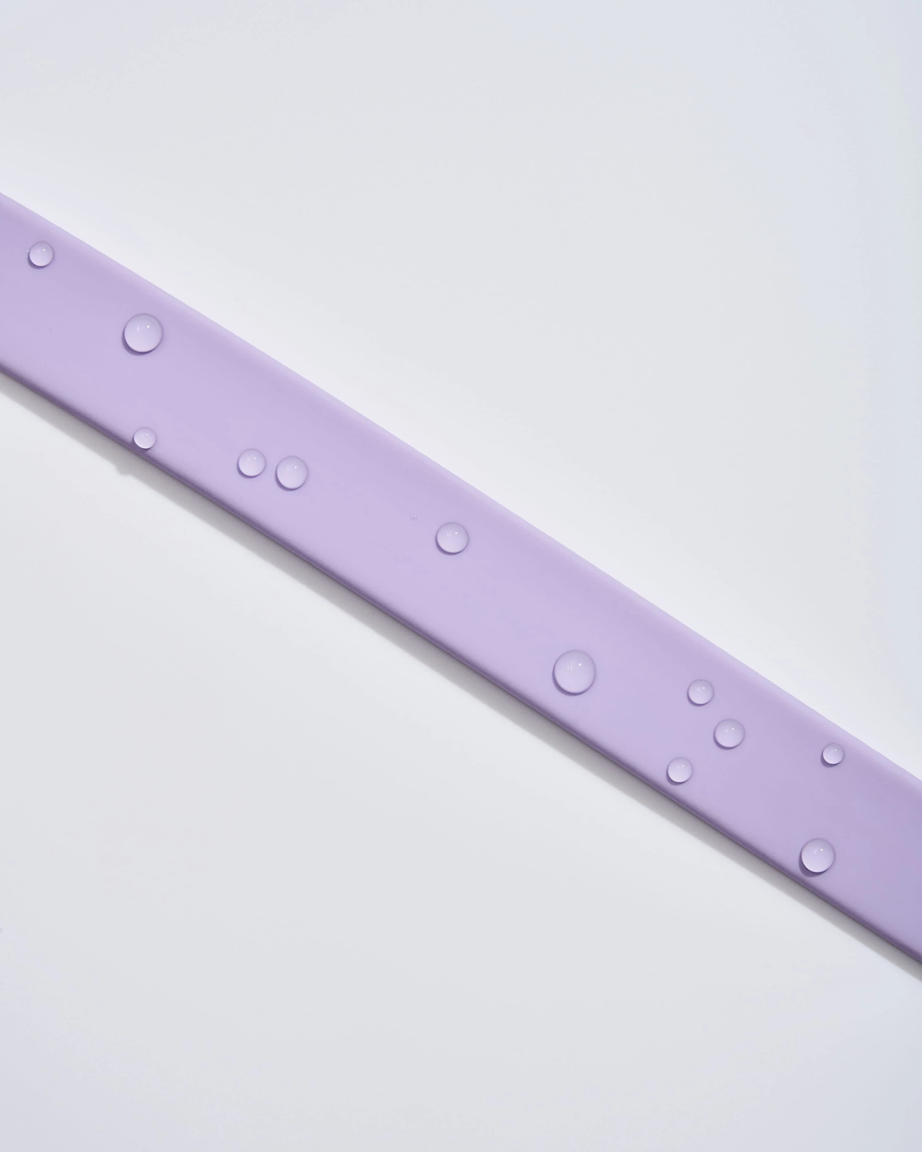 Waterproof Collar + Lightweight Leash Dog Walk Kit | Wild One