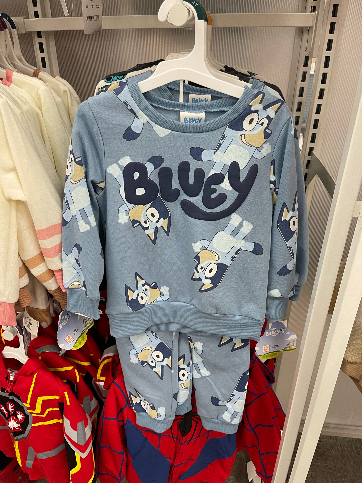 Toddler 4pc Bluey Snug Fit Pajama Set - Teal Blue
