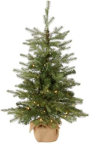 National Tree Company Pre-Lit 'Feel Real' Artificial Mini Christmas Tree, Green, Nordic Spruce, W... | Amazon (US)