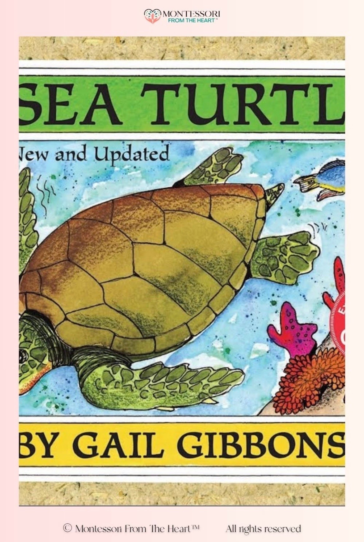 Sea Turtles ~ Book for Kids

#LTKhome #LTKkids #LTKfamily