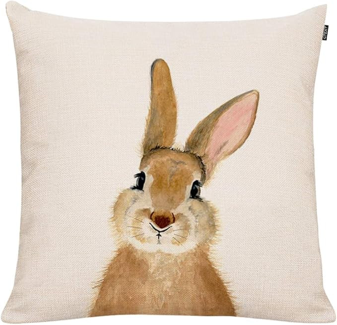 GTEXT Easter Bunny Throw Pillow Cover Cute Rabbit Pillowcase Cushion Cover Spring Home Decoration... | Amazon (US)