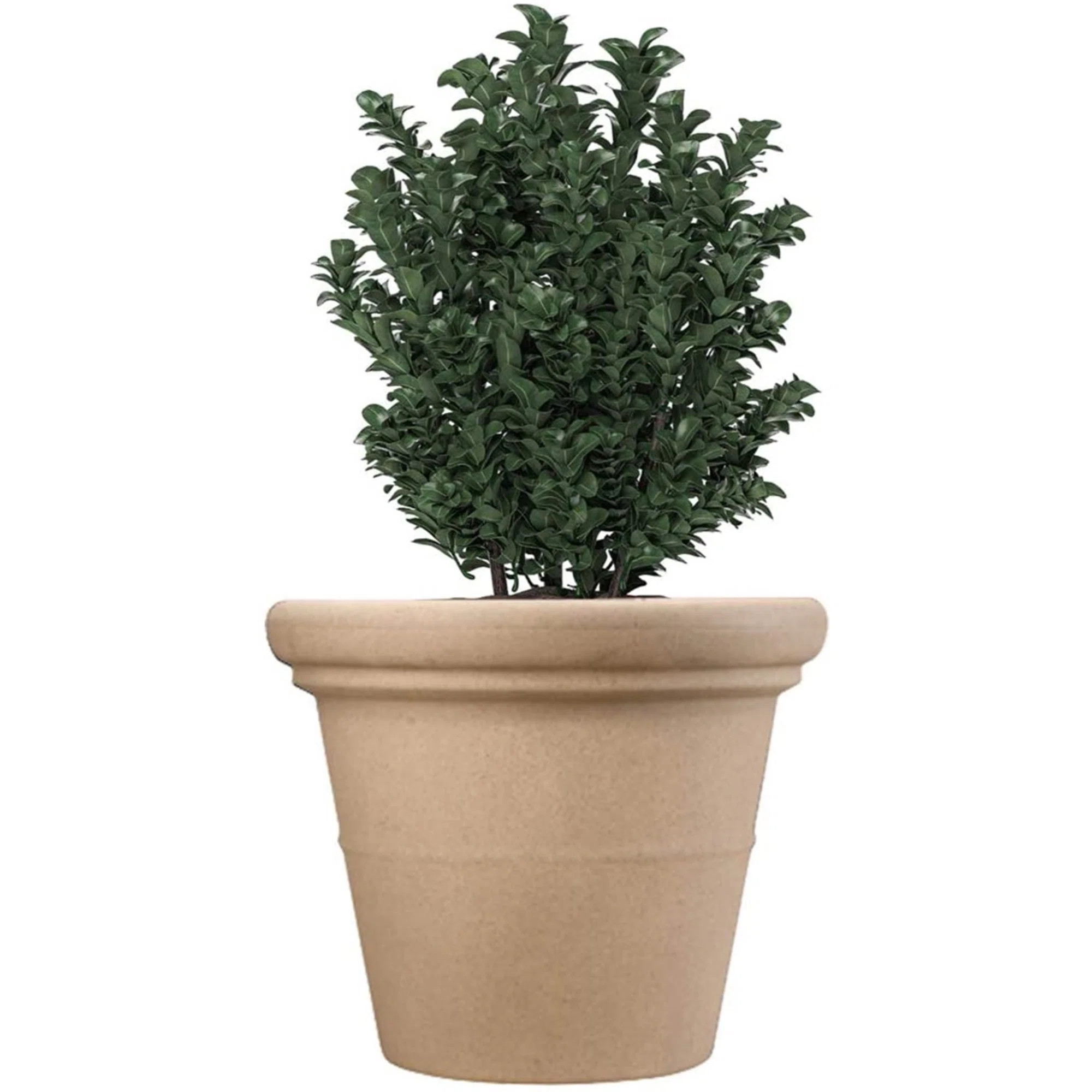 Winston Porter Dael Pot Planter | Wayfair | Wayfair North America