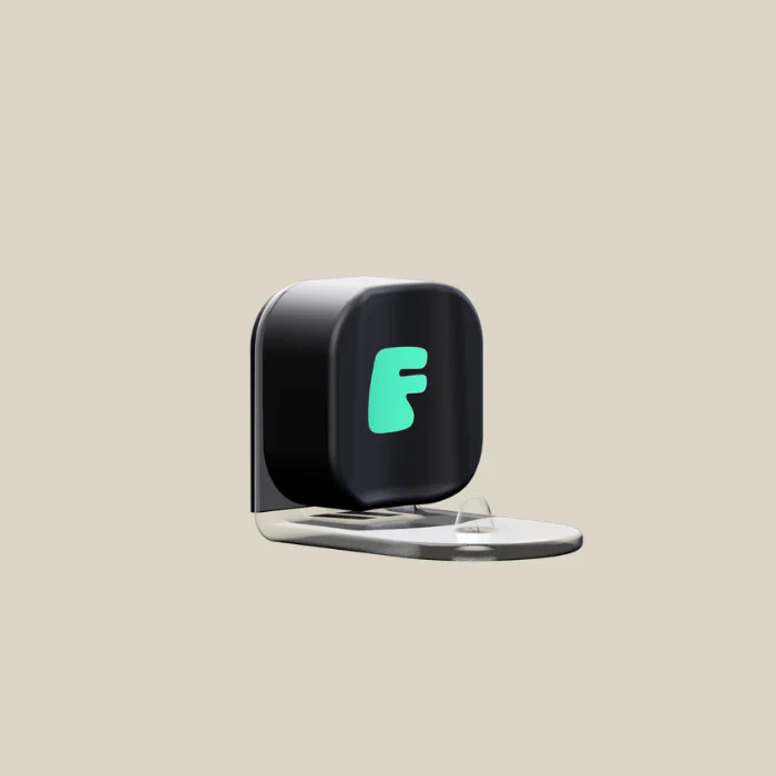Magnetic Mirror Mount | Flaus