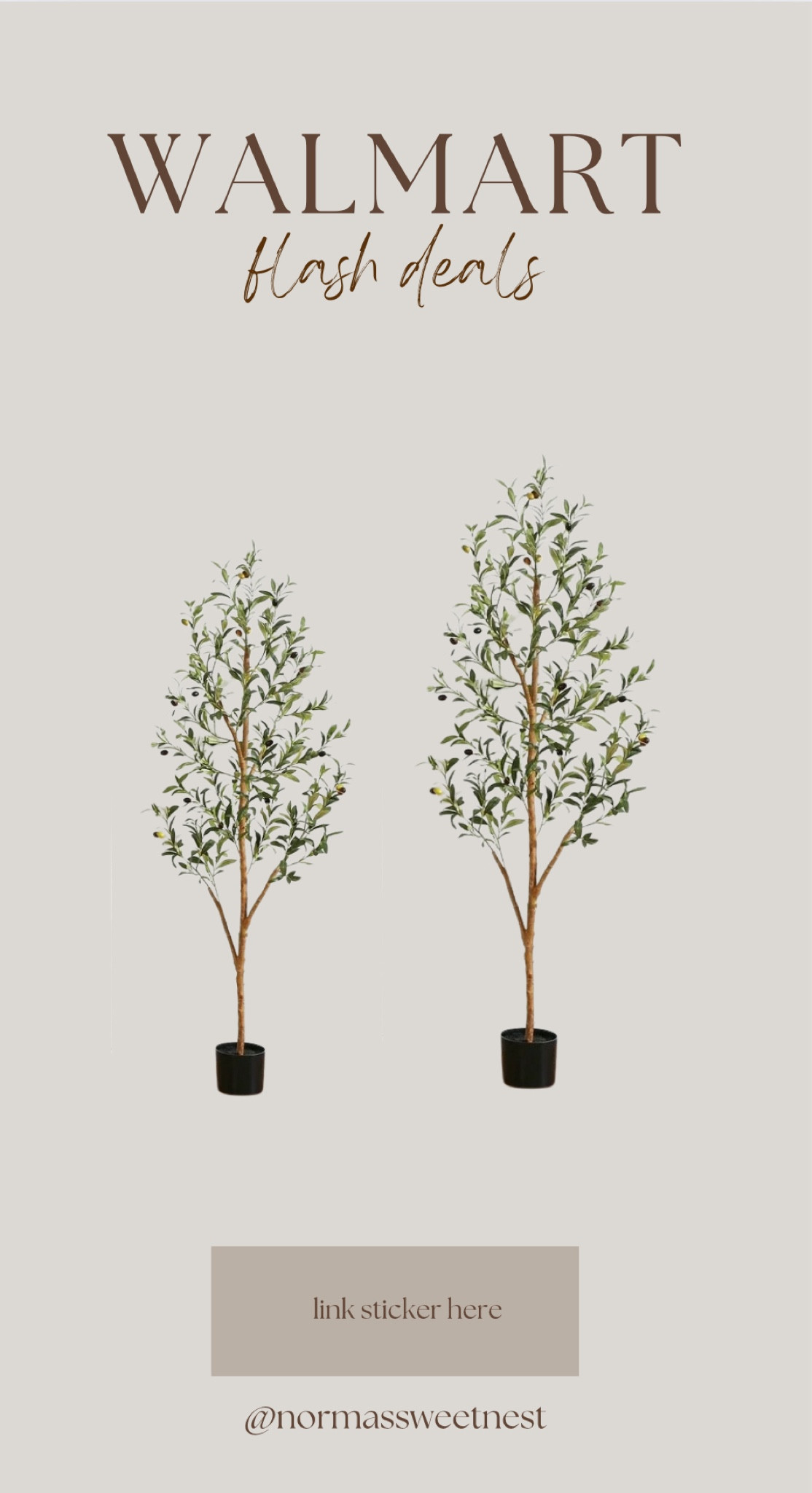 Olives trees on Flash sale!! 

5ft for $29.99 normally $90
6ft for $39.99 normally $109

#LTKSaleAlert #LTKHome #LTKFindsUnder100