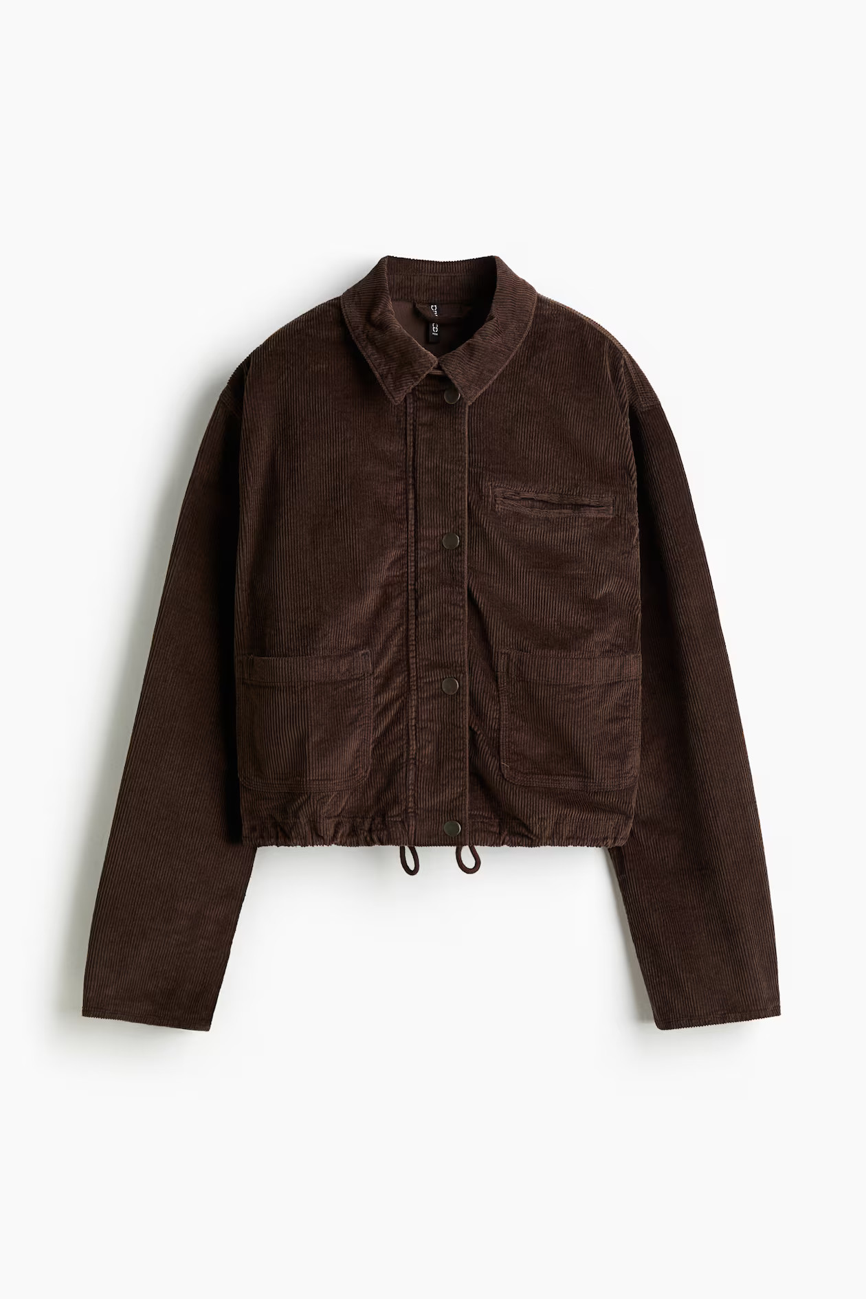 Corduroy Jacket | H&M (US + CA)