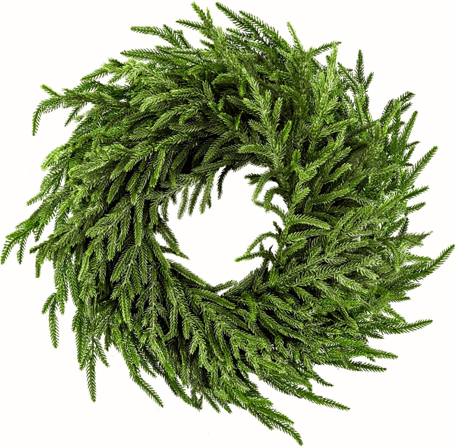 24" Norfolk Pine Wreath for Front Door, Real Touch Norfolk Pine Wreath Artificial Green Wreath Gr... | Amazon (US)