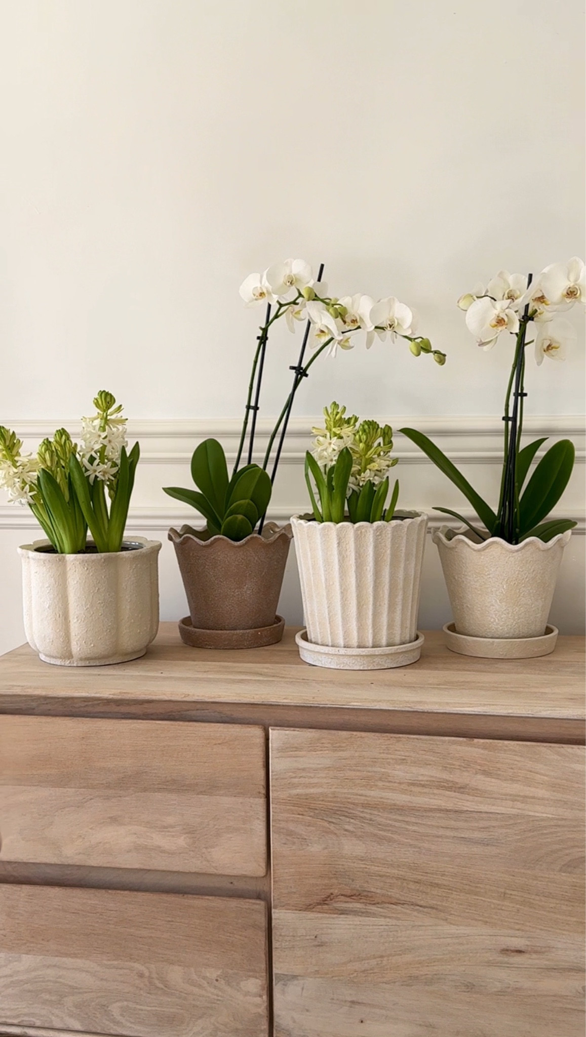 Favorite Walmart planters

#LTKOver40 #LTKHome #LTKSeasonal